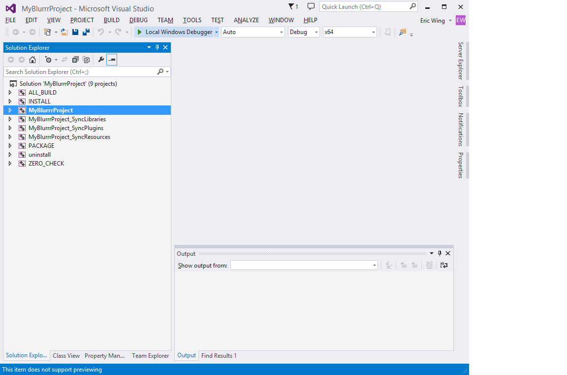 Visual Studio Build and Run