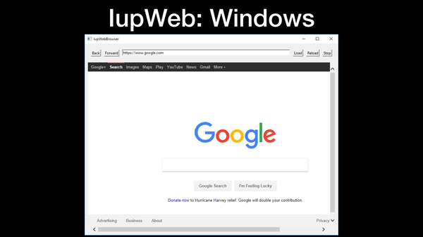 IupWeb: Windows