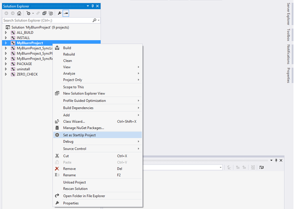 VisualStudioStartupProject